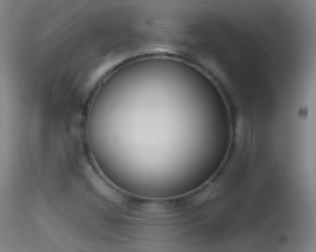 X0000114131404200910151534