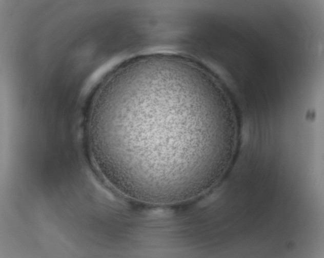 X0000114131406200910151534