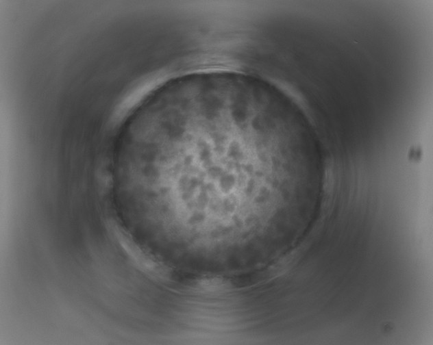 X0000114131407200910151534