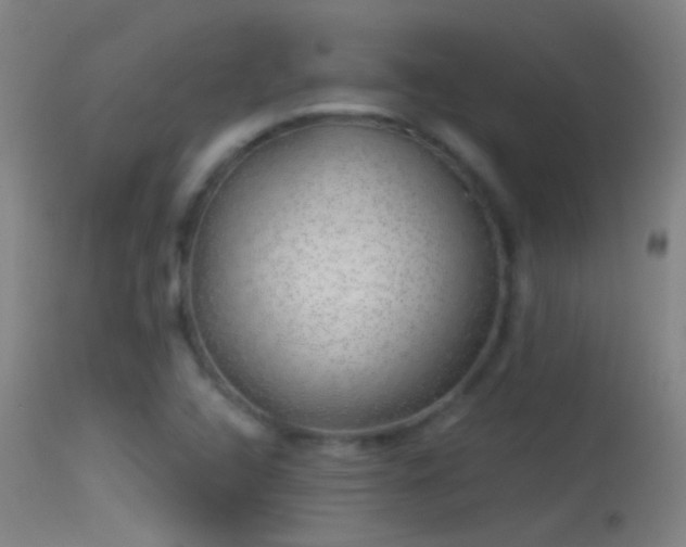 X0000114131408200910151534