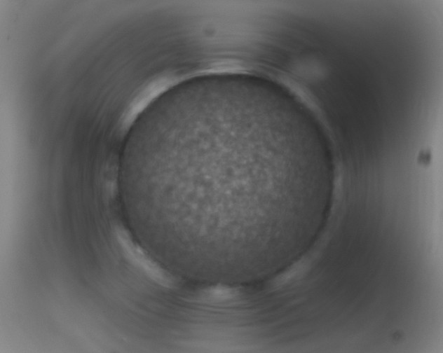 X0000114131409200910151534