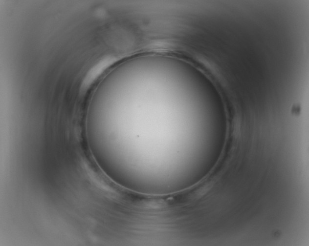 X0000114131410200910151534