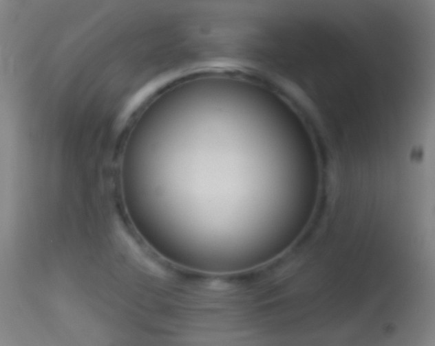 X0000114131412200910151534