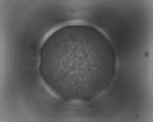 X0000114131413200910151534