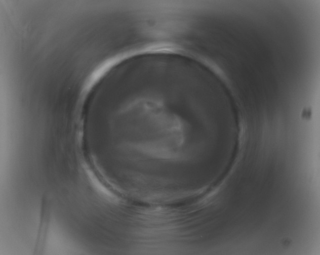 X0000114131414200910151534