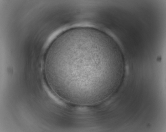 X0000114131416200910151534