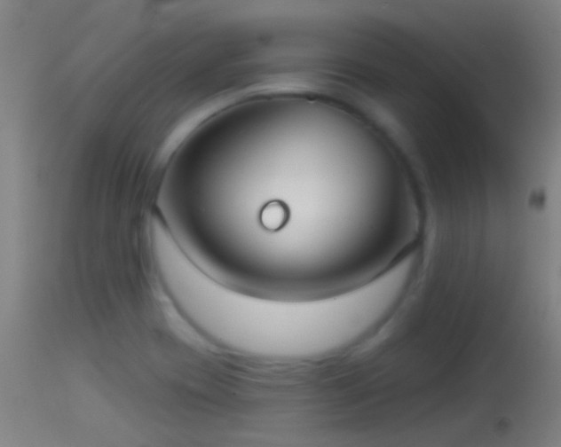 X0000114131417200910151534