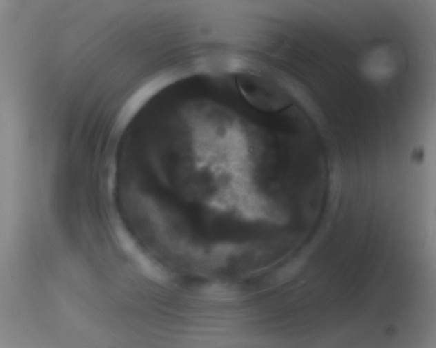 X0000114131418200910151534