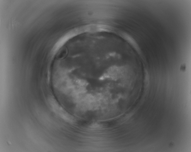 X0000114131419200910151534