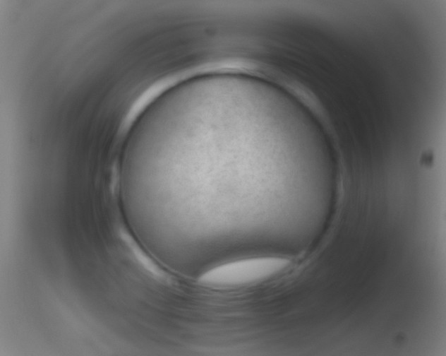 X0000114131420200910151534