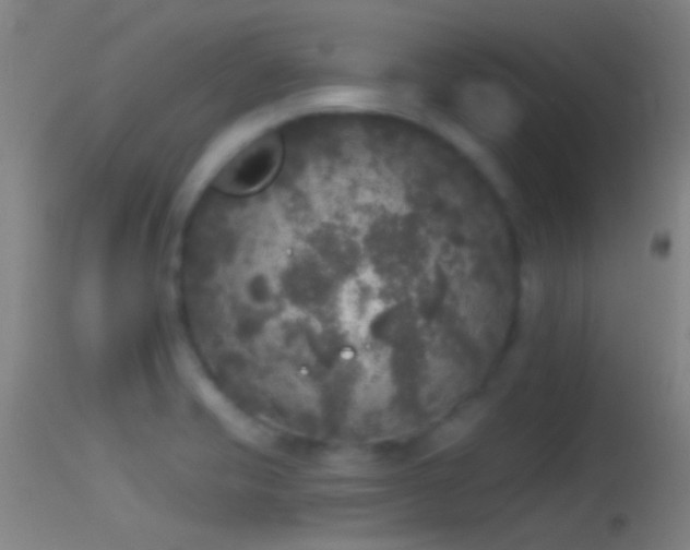 X0000114131421200910151534