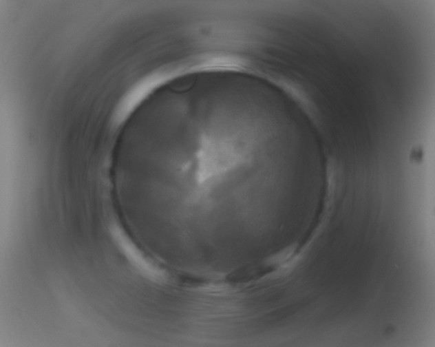 X0000114131422200910151534