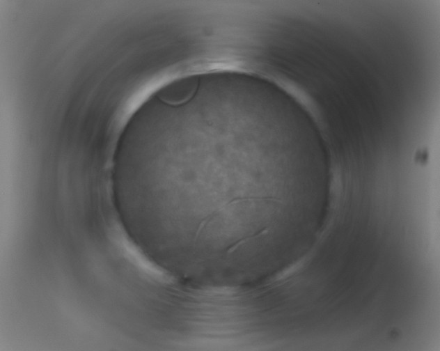 X0000114131423200910151534