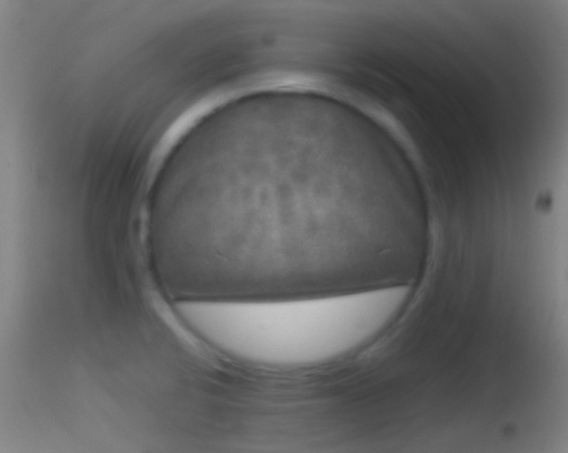 X0000114131424200910151534