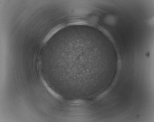 X0000114131425200910151534