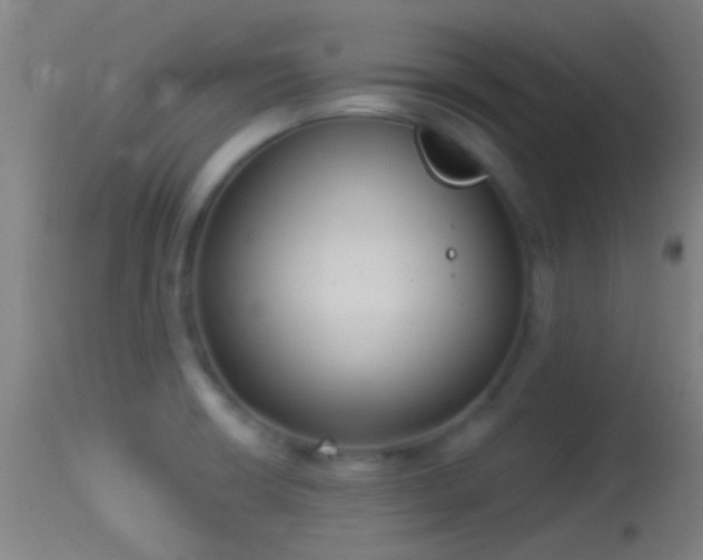 X0000114131426200910151534