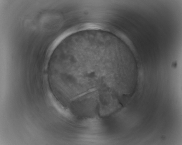 X0000114131427200910151534