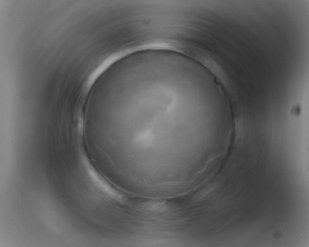 X0000114131428200910151534