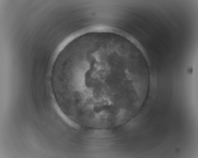 X0000114131429200910151534