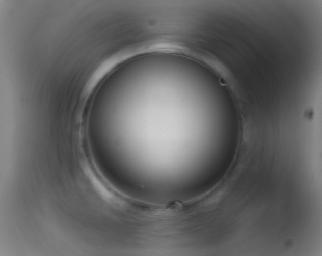 X0000114131430200910151534