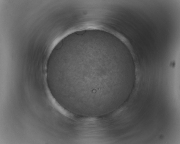 X0000114131431200910151534