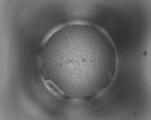 X0000114131433200910151534