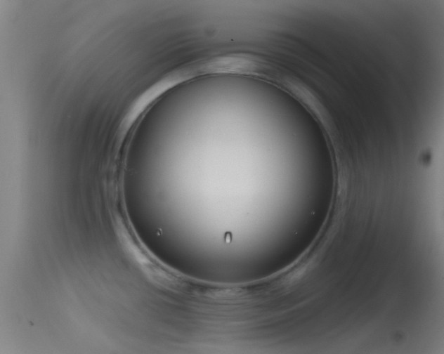 X0000114131434200910151534