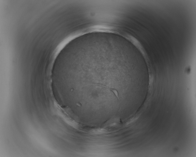 X0000114131435200910151534