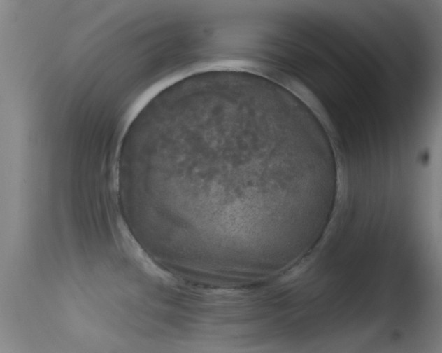 X0000114131436200910151534