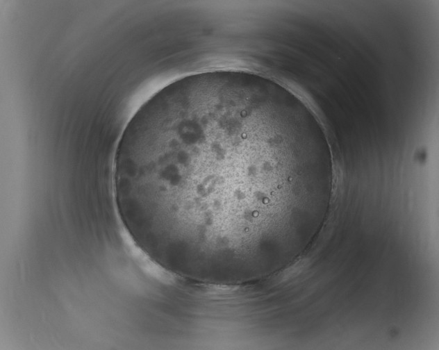 X0000114131439200910151534