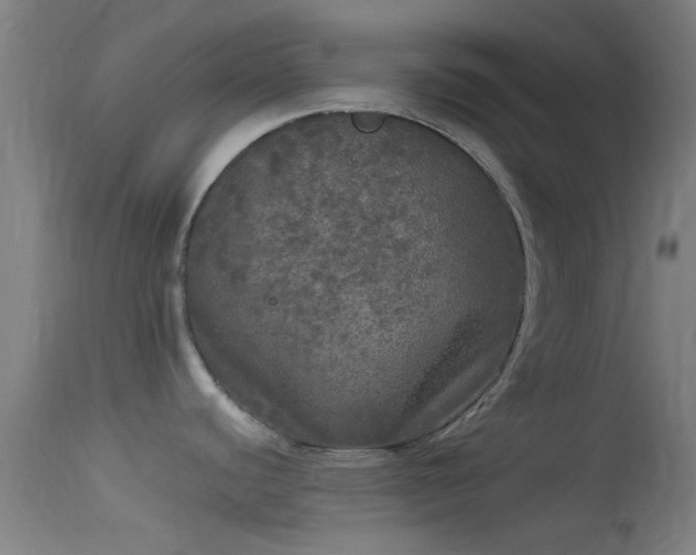 X0000114131440200910151534