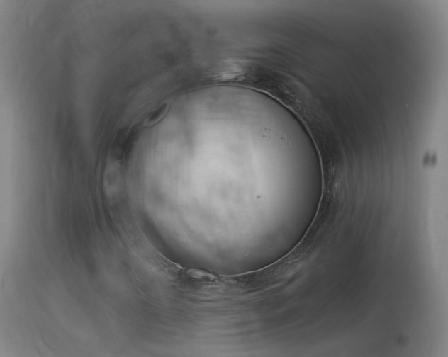 X0000114131442200910151533