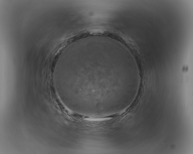 X0000114131445200910151533