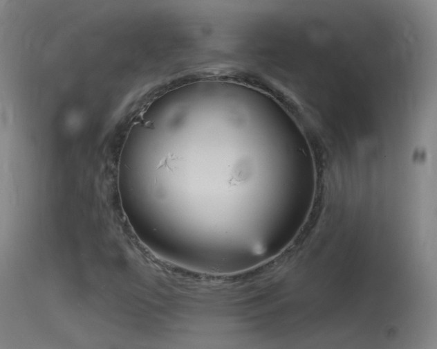 X0000114131447200910151533