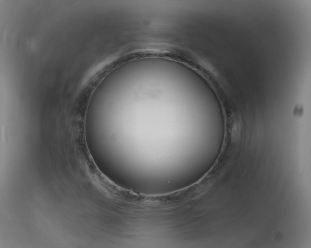 X0000114131448200910151533