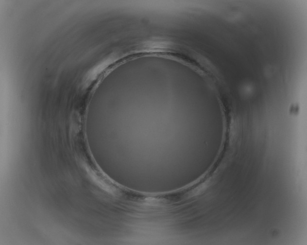 X0000114131449200910151533