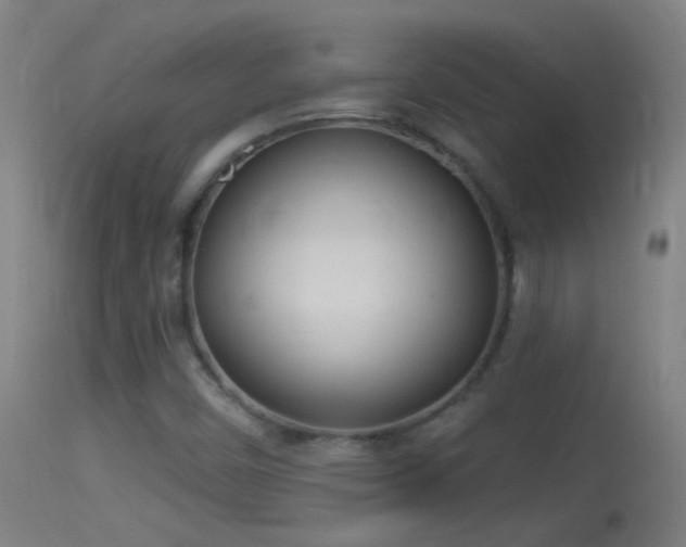 X0000114131450200910151533