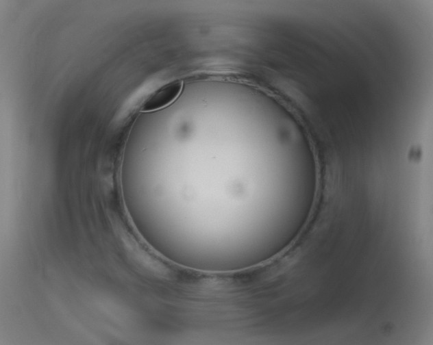 X0000114131451200910151533