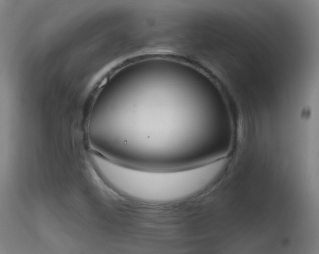 X0000114131452200910151533