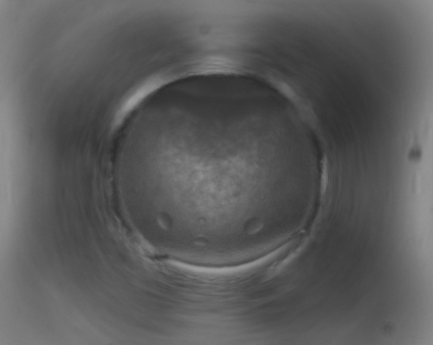 X0000114131453200910151533