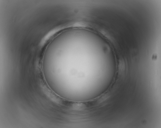 X0000114131454200910151533