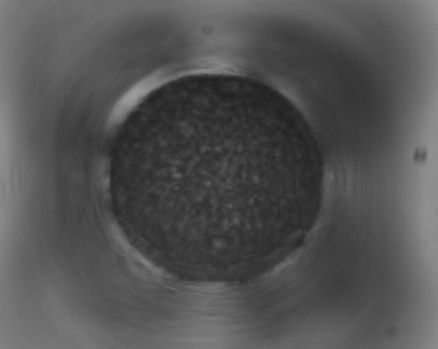 X0000114131455200910151533