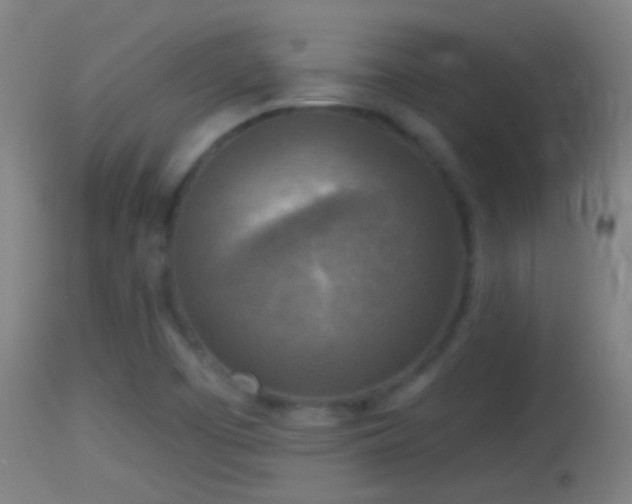 X0000114131457200910151533