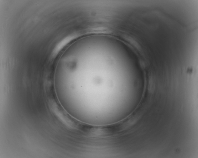 X0000114131458200910151533