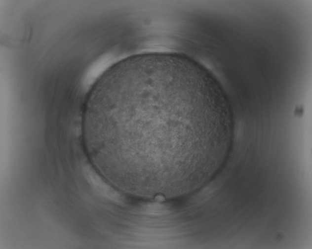 X0000114131459200910151533