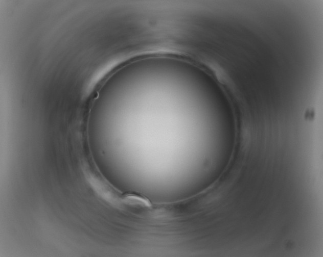 X0000114131460200910151533