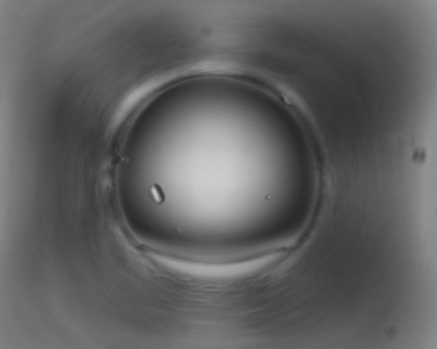 X0000114131461200910151533