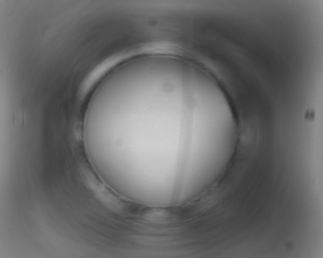 X0000114131462200910151533