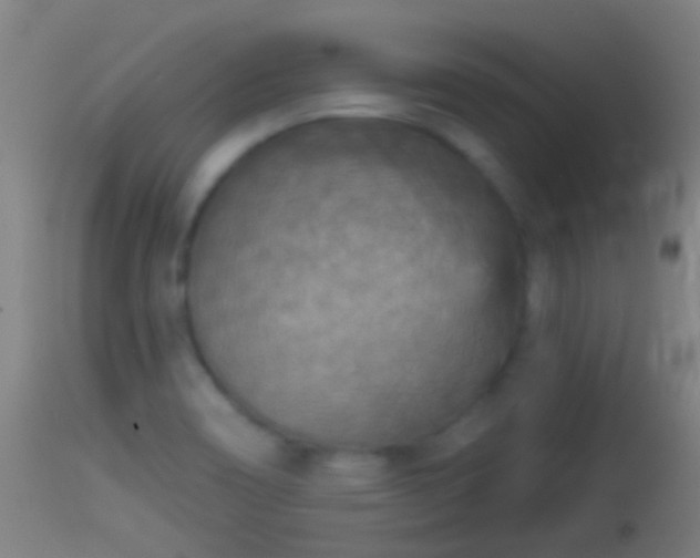 X0000114131466200910151533