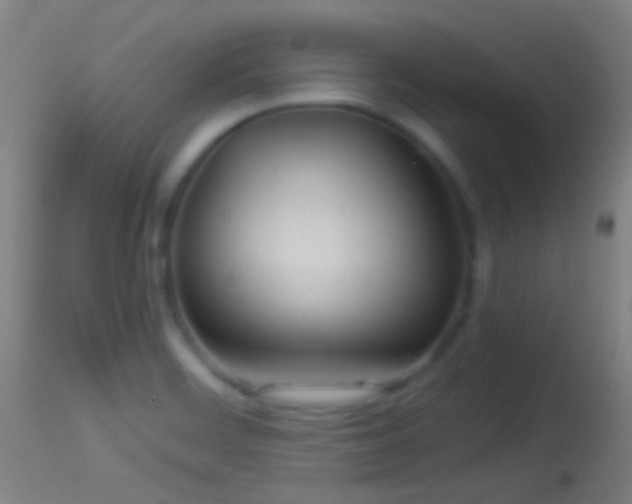 X0000114131468200910151533